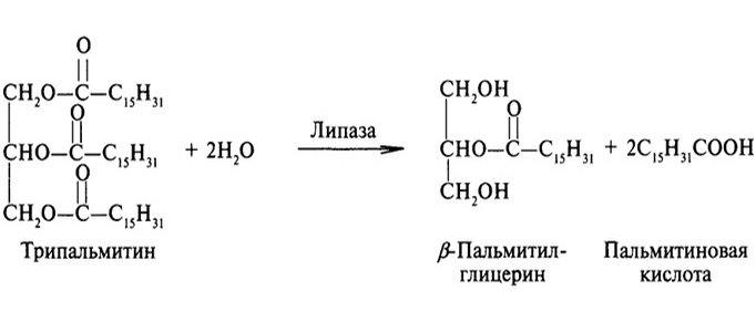 Щелочному гидролизу омылению сложных эфиров соответствует схема реакции