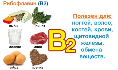 Где есть в 9. Продукты богатые витамином в2 таблица. Витамины в2 и в6 в каких продуктах содержится. Витамин в2 продукты таблица. Витамин к2 в каких продуктах содержится.