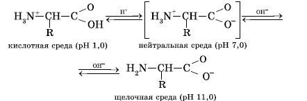 Изобразите схему образования биполярных ионов на примере аланина серина